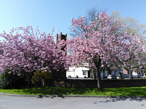 Polish Parish Doncaster